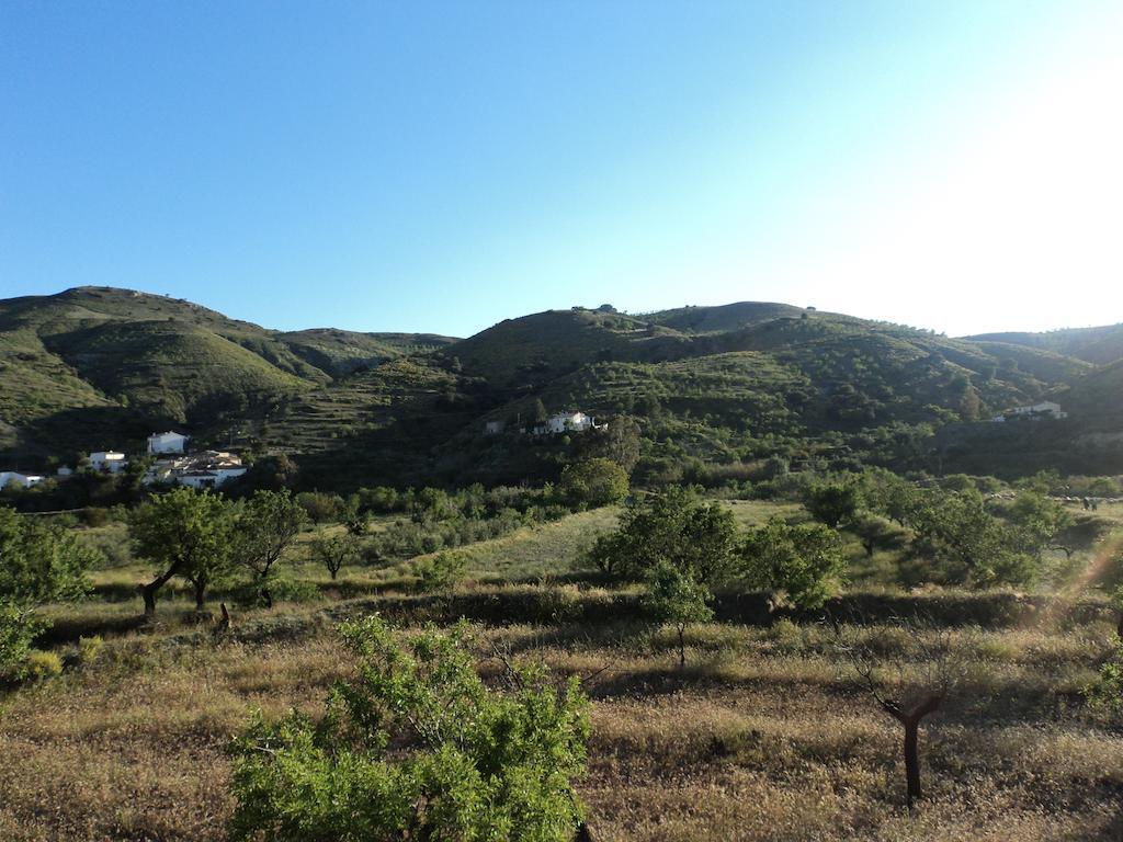 Гостевой дом Cortijo Claudia Таберно Экстерьер фото