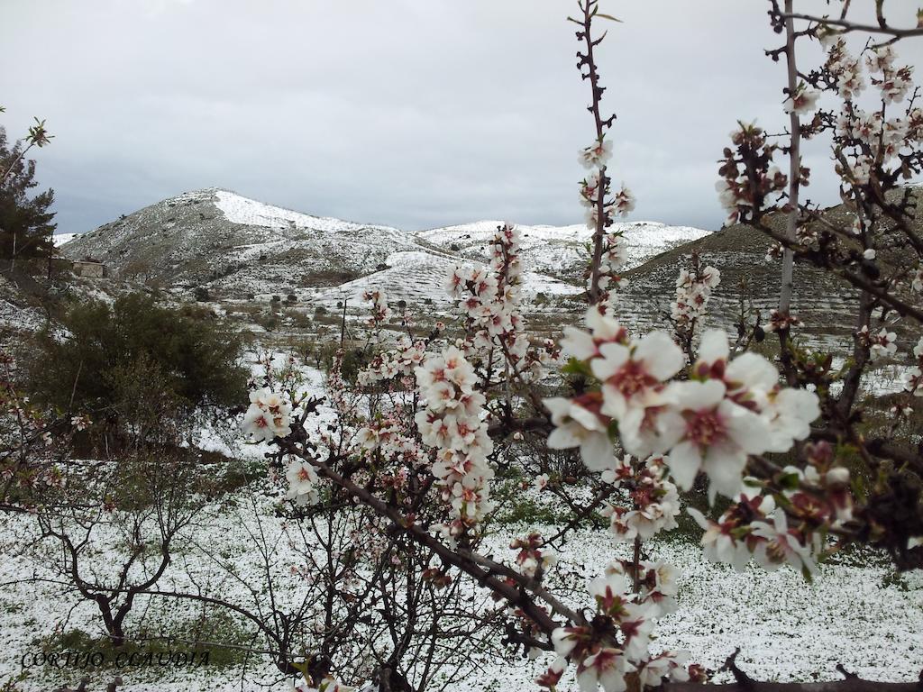 Гостевой дом Cortijo Claudia Таберно Экстерьер фото
