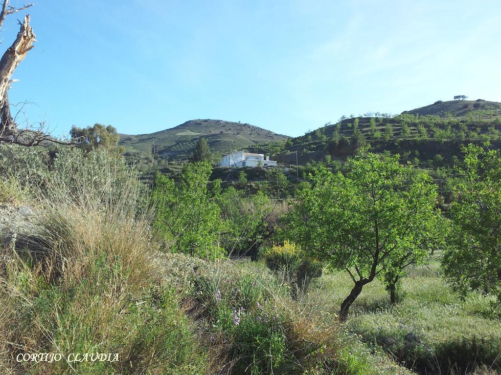 Гостевой дом Cortijo Claudia Таберно Экстерьер фото