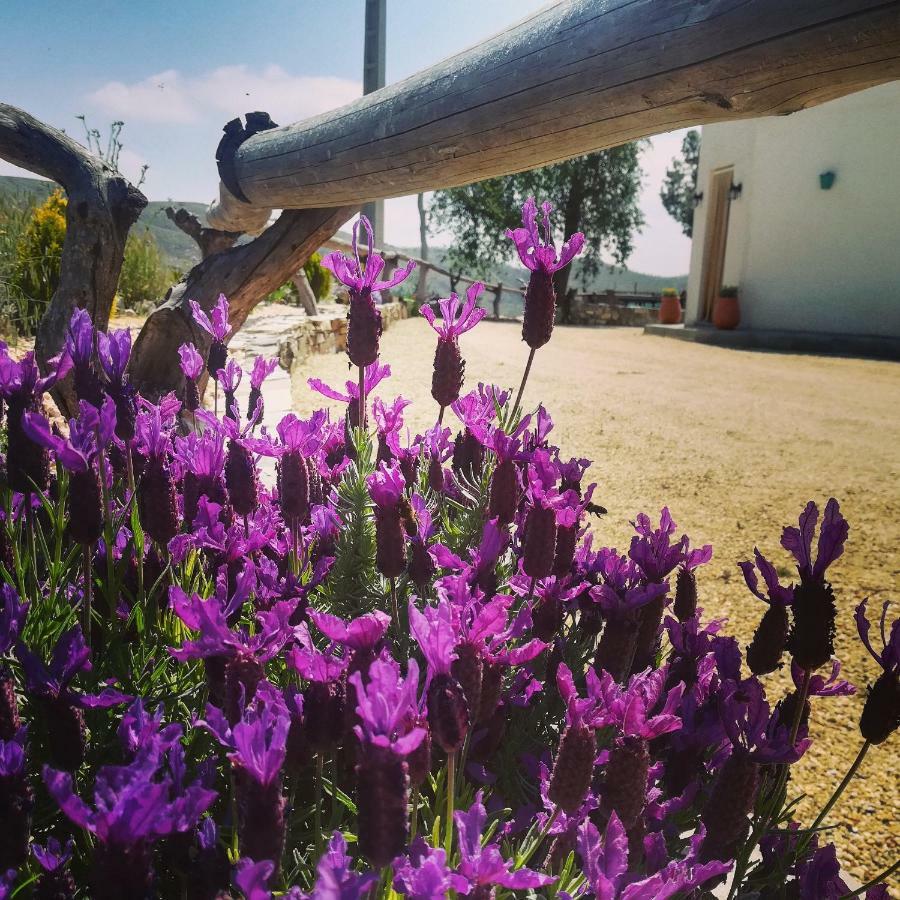 Гостевой дом Cortijo Claudia Таберно Экстерьер фото