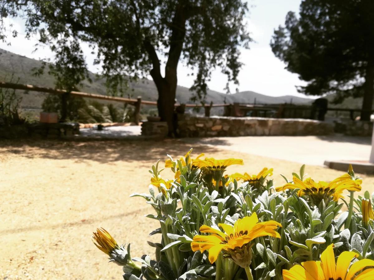 Гостевой дом Cortijo Claudia Таберно Экстерьер фото